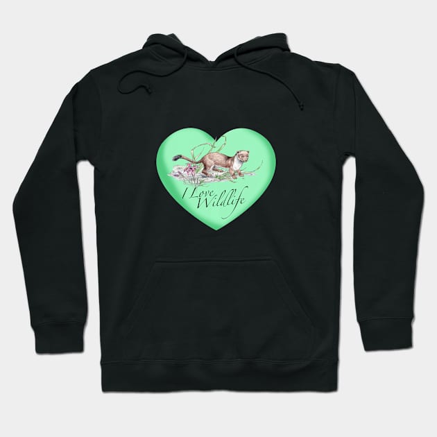 I Love Stoats Hoodie by davidroland